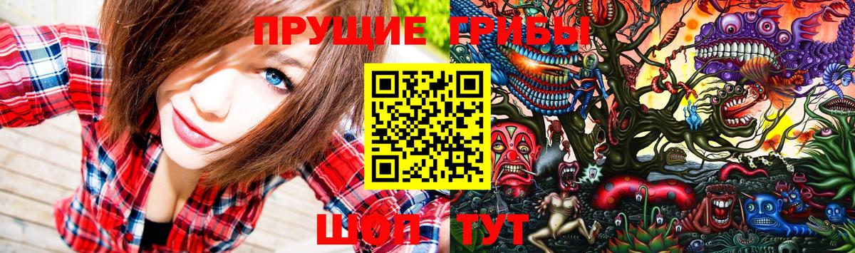 Псилоцибиновые грибы Magic Shrooms  Вход с VPN  Котлас  купить закладку  Псилоцибиновые грибы Psilocybe 